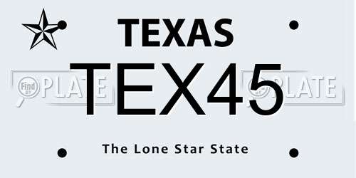 TEX45 Texas License Plate