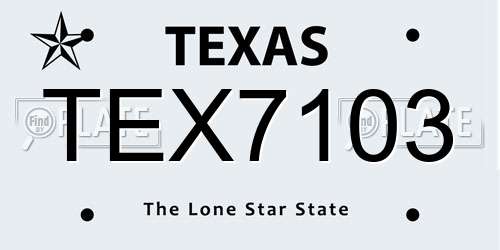TEX7103 Texas License Plate