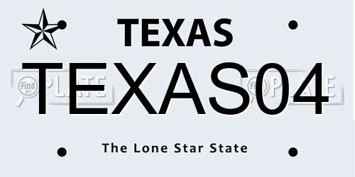 TEXAS04 Texas License Plate