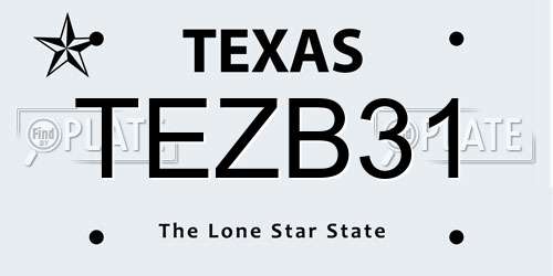 TEZB31 Texas License Plate