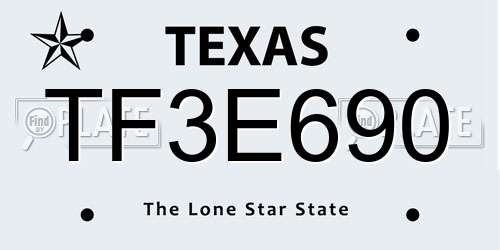 TF3E690 Texas License Plate