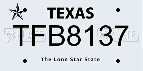 TFB8137 Texas License Plate