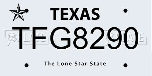 TFG8290 Texas License Plate