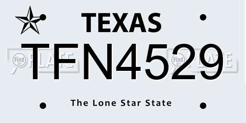 TFN4529 Texas License Plate
