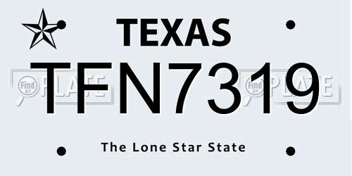 TFN7319 Texas License Plate