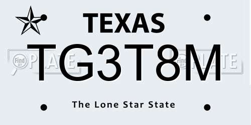 TG3T8M Texas License Plate
