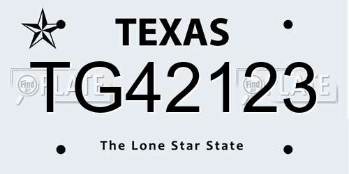 TG42123 Texas License Plate