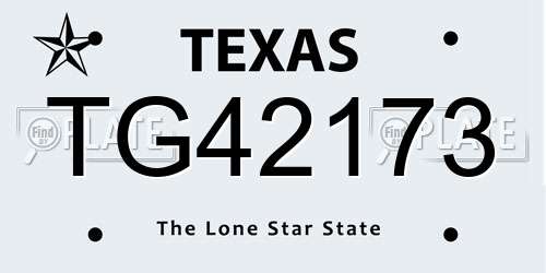 TG42173 Texas License Plate