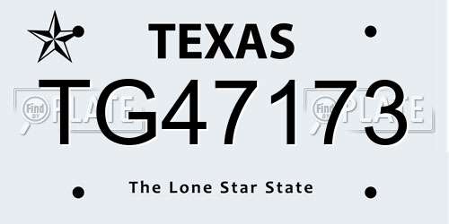 TG47173 Texas License Plate