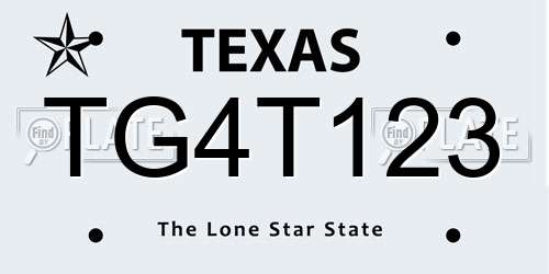 TG4T123 Texas License Plate