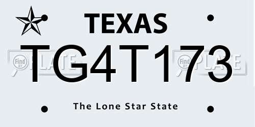 TG4T173 Texas License Plate