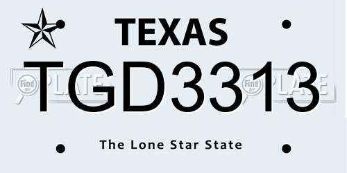 TGD3313 Texas License Plate