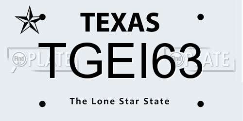 TGEI63 Texas License Plate