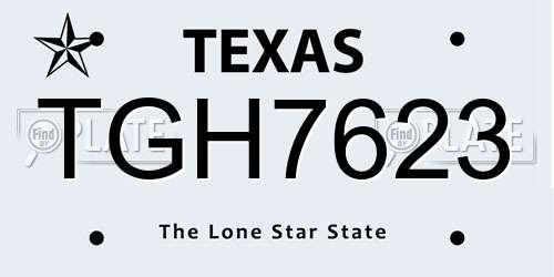 TGH7623 Texas License Plate