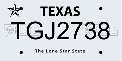 TGJ2738 Texas License Plate