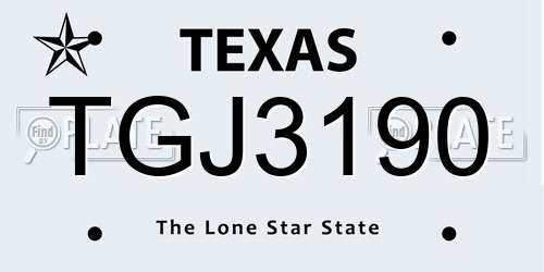 TGJ3190 Texas License Plate