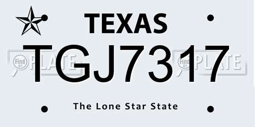 TGJ7317 Texas License Plate