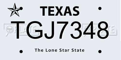 TGJ7348 Texas License Plate