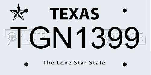 TGN1399 Texas License Plate