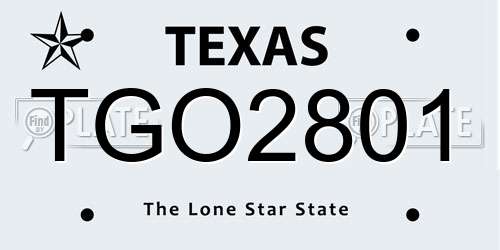 TGO2801 Texas License Plate