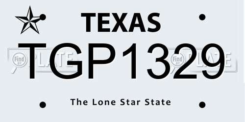 TGP1329 Texas License Plate