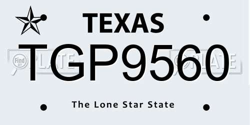 TGP9560 Texas License Plate