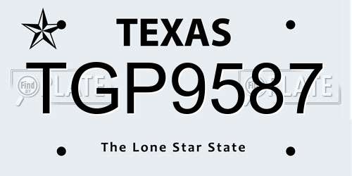 TGP9587 Texas License Plate