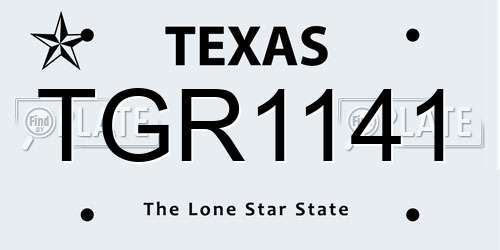 TGR1141 Texas License Plate
