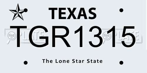 TGR1315 Texas License Plate