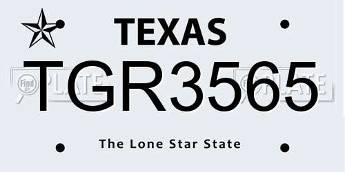 TGR3565 Texas License Plate