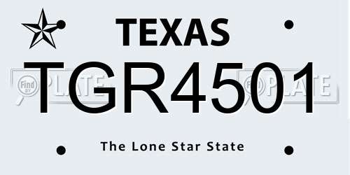 TGR4501 Texas License Plate