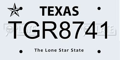 TGR8741 Texas License Plate