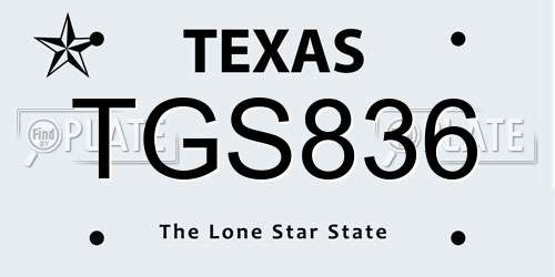 TGS836 Texas License Plate