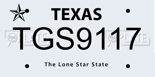TGS9117 Texas License Plate
