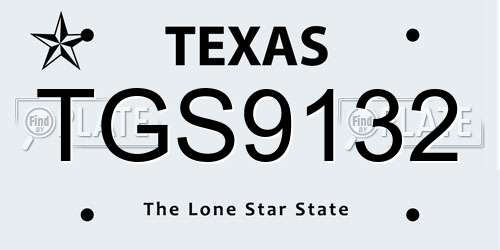 TGS9132 Texas License Plate
