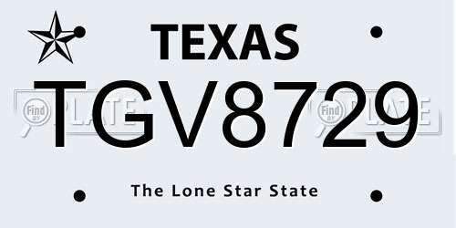 TGV8729 Texas License Plate