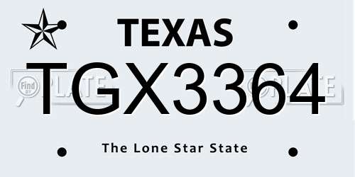 TGX3364 Texas License Plate