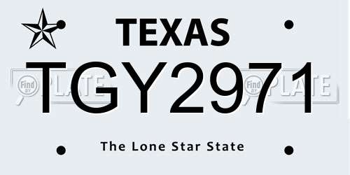 TGY2971 Texas License Plate