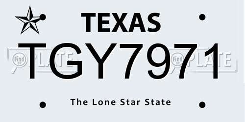 TGY7971 Texas License Plate