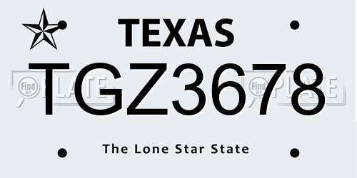 TGZ3678 Texas License Plate