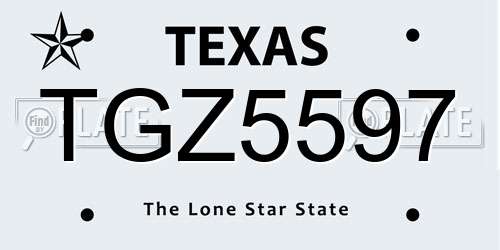 TGZ5597 Texas License Plate