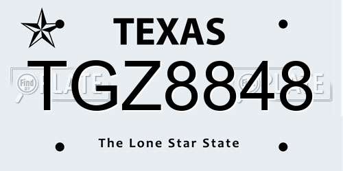 TGZ8848 Texas License Plate
