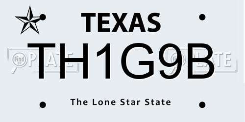 TH1G9B Texas License Plate