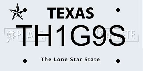 TH1G9S Texas License Plate