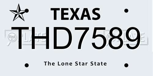 THD7589 Texas License Plate