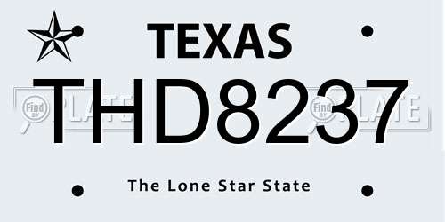 THD8237 Texas License Plate