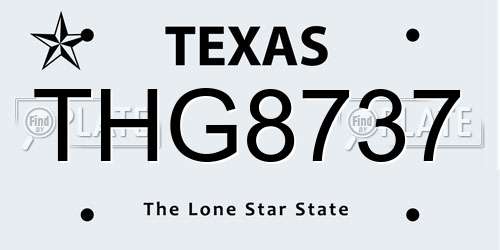 THG8737 Texas License Plate