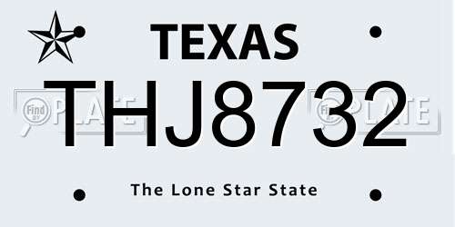 THJ8732 Texas License Plate