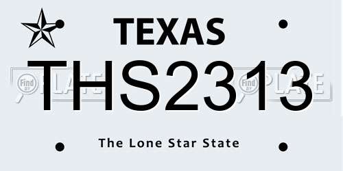 THS2313 Texas License Plate