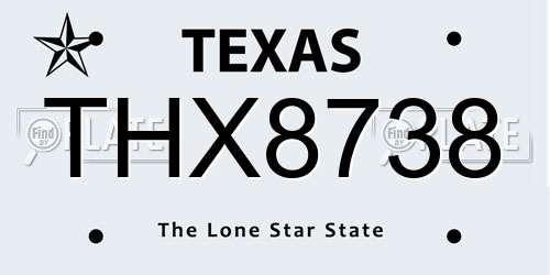 THX8738 Texas License Plate